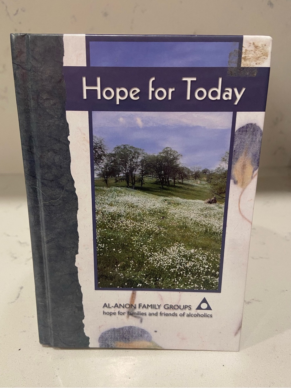 Al-Anon 'Hope for Today' Hardcover Book - Blue/White